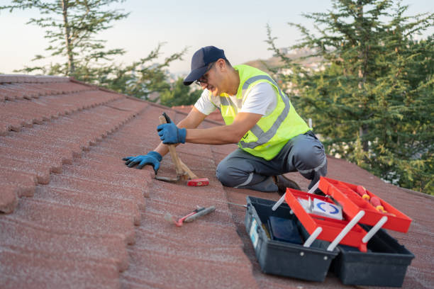 Best Metal Roofing Contractor  in Black Mountain, NC
